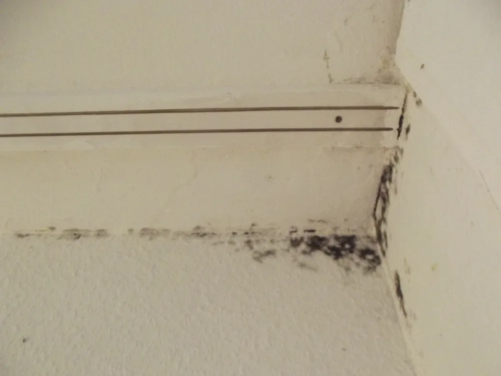 Technician in protective gear removing a mold-damaged wall in a De Witt home